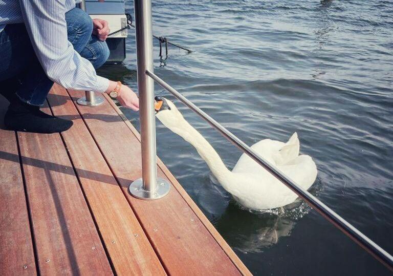 Ferienhaus Hausboot Aurora Mit Grossem Sonnendeck Und Waeschepaketen Inklusive *